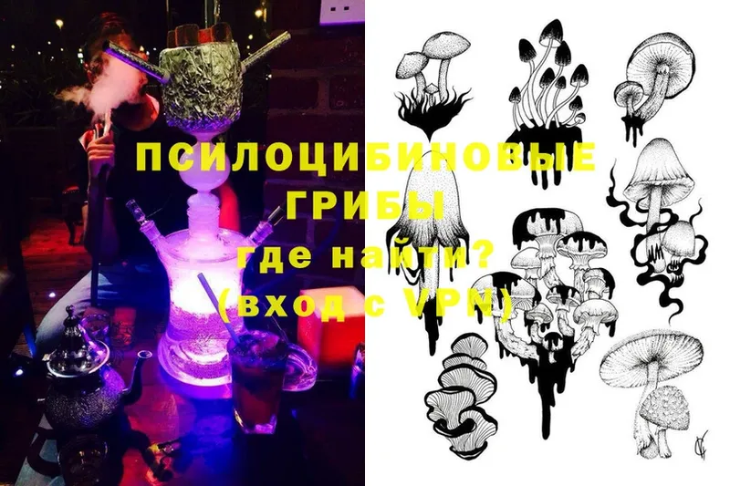 Псилоцибиновые грибы MAGIC MUSHROOMS  закладки  Губаха 